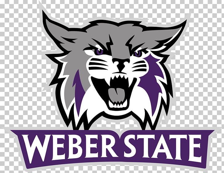 Weber State University Weber State Wildcats Men's Basketball Weber State Wildcats Football Weber State Wildcats Women's Basketball PNG, Clipart,  Free PNG Download