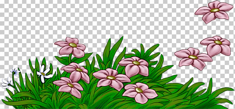 Flower Plant Pink Grass Petal PNG, Clipart, Flower, Grass, Petal, Pink, Plant Free PNG Download