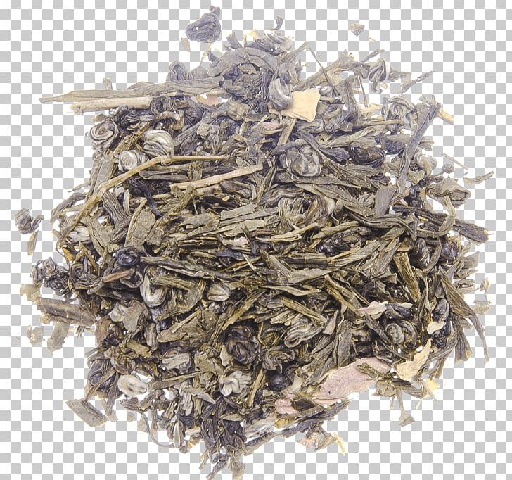 Darjeeling Tea White Tea Oolong Vinaigrette PNG, Clipart, Assam Tea, Baihao Yinzhen, Bai Mudan, Bancha, Basil Free PNG Download