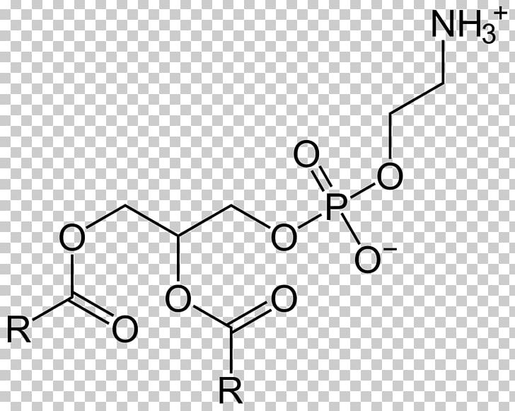 Dietary Supplement Phosphatidylserine Phosphatidylethanolamine Phosphatidic Acid Research PNG, Clipart, Angle, Auto Part, Black And White, Brain, De Novo Synthesis Free PNG Download