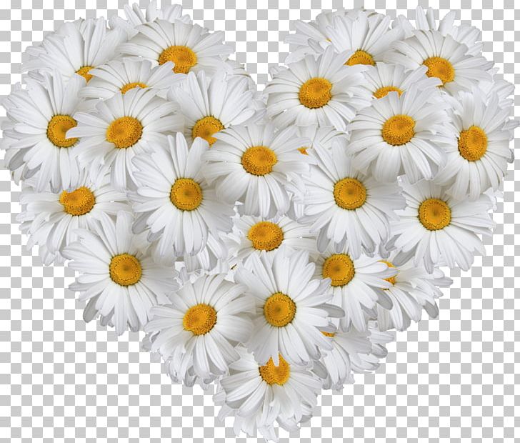 Flower Bouquet Stock Photography PNG, Clipart, Chamomile, Chrysanths, Cut Flowers, Daisy, Daisy Family Free PNG Download