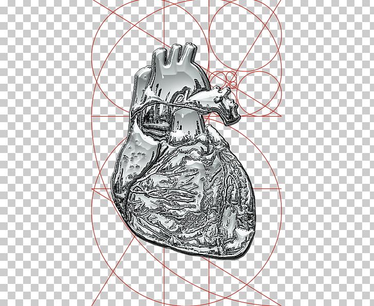 Human Drawing /m/02csf Product Illustration PNG, Clipart, Creative Human Heart, Drawing, Head, Heart, Human Free PNG Download