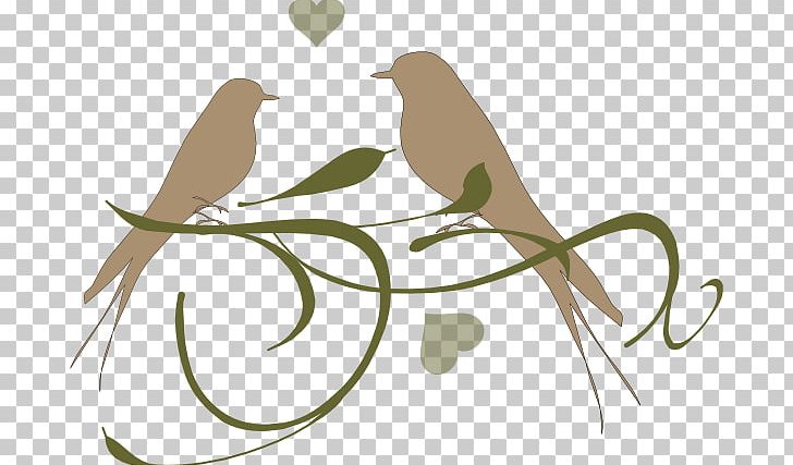 Lovebird Parrot PNG, Clipart, Beak, Bird, Branch, Computer Icons, Download Free PNG Download