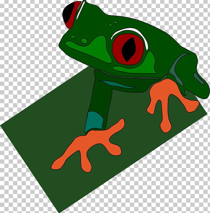 Red-eyed Tree Frog Poison Dart Frog PNG, Clipart, Amphibian, Animals, Download, Frog, Frog Jumping Contest Free PNG Download