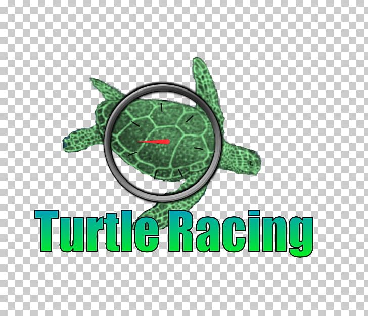 Turtle Logo Brand Green PNG, Clipart, Brand, Green, Logo, Turtle Free PNG Download
