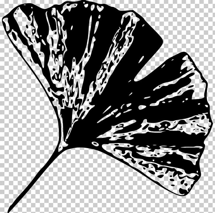 Ginkgo Biloba Leaf Tree Plant PNG, Clipart, Black, Black And White, Butterfly, Clipart, Clip Art Free PNG Download