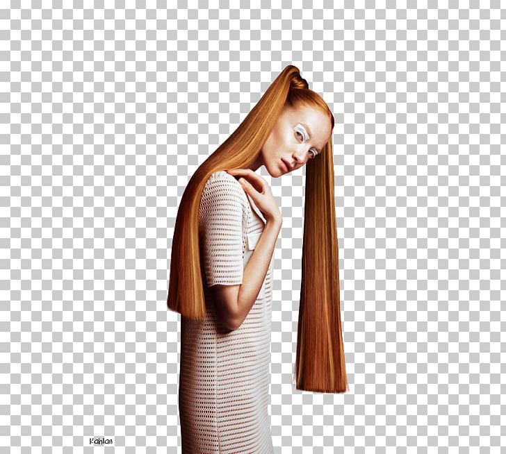 Brown Hair Hair Coloring Long Hair Female PNG, Clipart, Being, Blog, Bricolage, Brown Hair, Egipto Free PNG Download