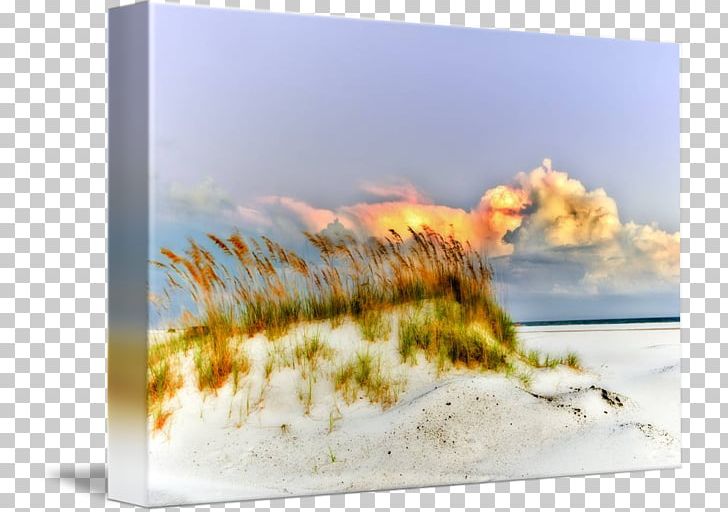 Eszra Gallery Wrap Frames Art Canvas PNG, Clipart, Art, Canvas, Computer, Computer Wallpaper, Desktop Wallpaper Free PNG Download