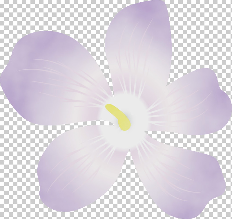 Lavender PNG, Clipart, Flower, Lavender, Moth Orchids, Orchids, Paint Free PNG Download