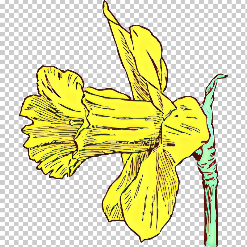 Yellow Flower Plant Narcissus Daylily PNG, Clipart, Daylily, Flower, Narcissus, Pedicel, Plant Free PNG Download