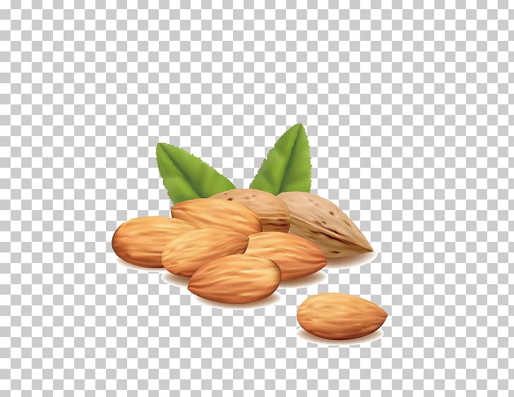 Hazelnut Almond PNG, Clipart, Almond Milk, Almond Nut, Almond Nuts, Almonds, Almond Vector Free PNG Download