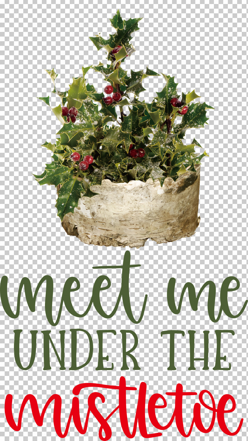Meet Me Under The Mistletoe Mistletoe PNG, Clipart, Christmas Day, Christmas Ornament, Christmas Ornament M, Christmas Tree, Flowerpot Free PNG Download