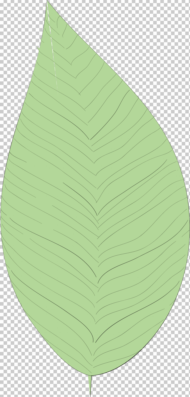 Simple Leaf Simple Leaf Drawing Simple Leaf Outline PNG, Clipart, Biology, Green, Leaf, Plants, Plant Structure Free PNG Download