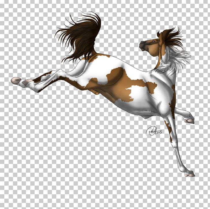 Mane Mustang Stallion Halter Pony PNG, Clipart, Art, Bridle, English Riding, Equestrian, Halter Free PNG Download