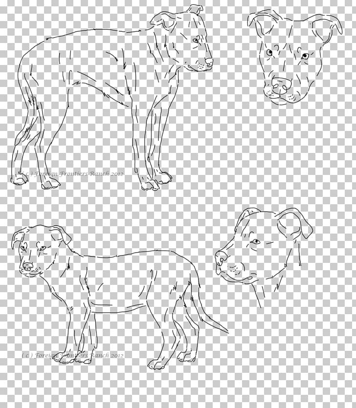 Pit Bull Drawing Cat Lion Art PNG, Clipart, Animal, Animal Figure, Animals, Arm, Art Free PNG Download