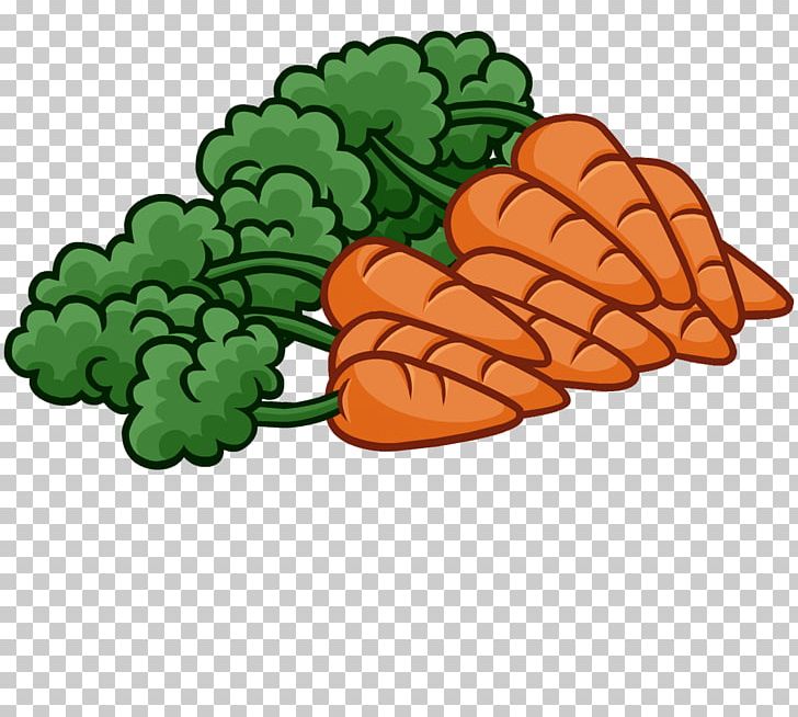 Carrot Vegetable PNG, Clipart, Blog, Broccoli, Carrot, Cartoon, Document Free PNG Download