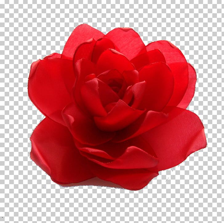 Garden Roses Cabbage Rose Floribunda Cut Flowers Petal PNG, Clipart, Cabbage Rose, Cut Flowers, Daxil Olunan, Floribunda, Flower Free PNG Download