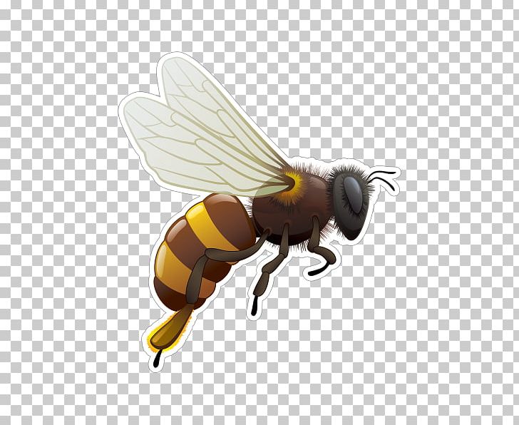 Honey Bee Life Cycle Insect Hornet PNG, Clipart, Arthropod, Bee, Biological Life Cycle, Biology, Cell Free PNG Download