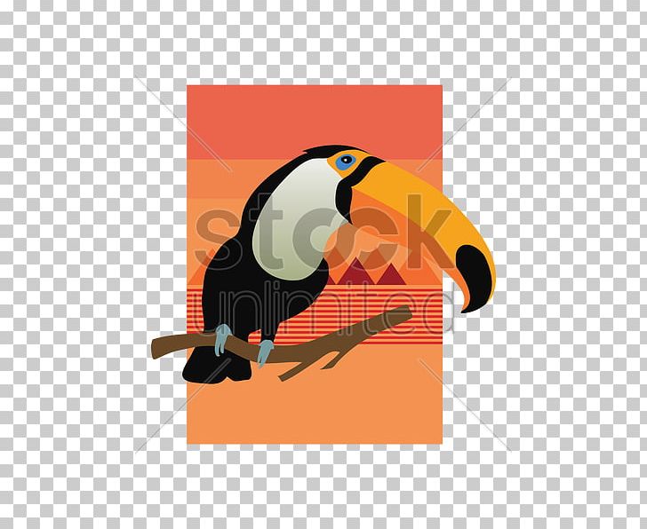 Illustration Product Design Beak PNG, Clipart, Beak, Flightless Bird, Orange Sa, Toucan Free PNG Download