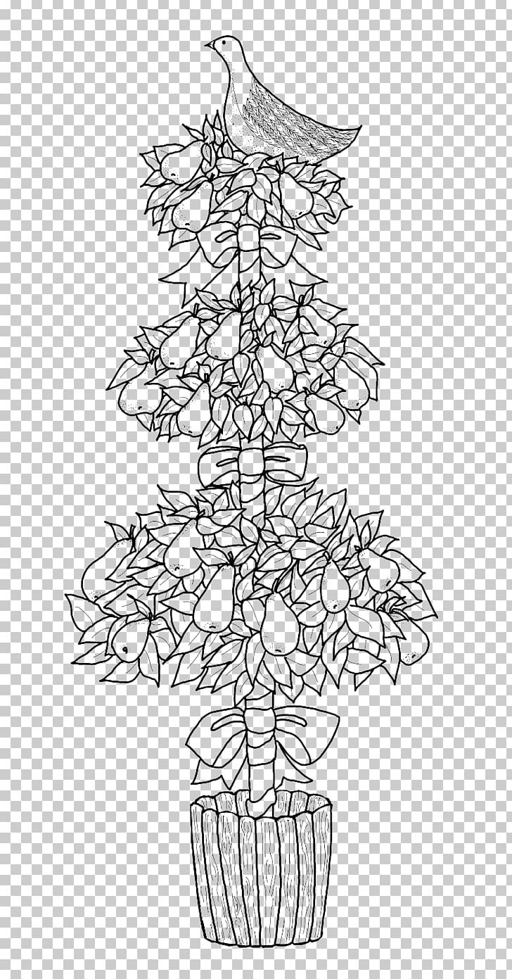 Line Art Drawing /m/02csf Color PNG, Clipart, Art, Artwork, Black And White, Branch, Color Free PNG Download