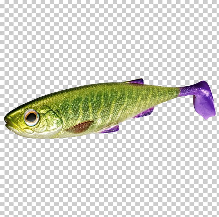 Sardine Fishing Baits & Lures Northern Pike Globeride PNG, Clipart, American Shad, Angling, Bait, Bony Fish, Fish Free PNG Download