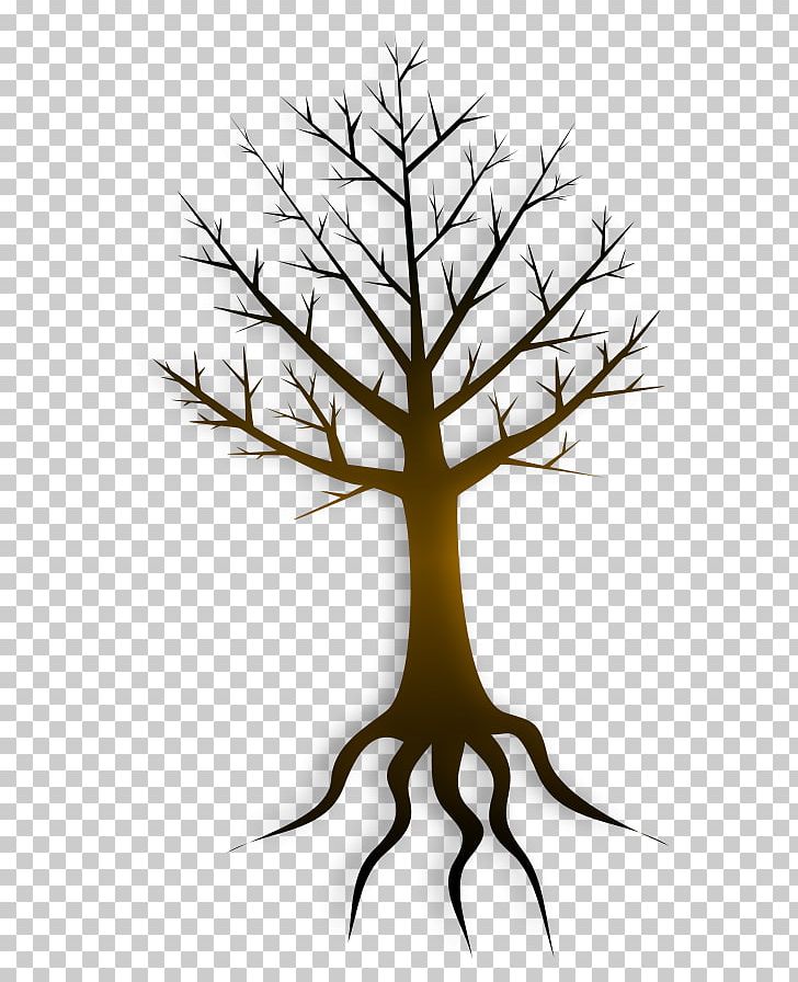 Tree Trunk PNG, Clipart, Arecaceae, Branch, Drawing, Flower, Fruit Tree Free PNG Download