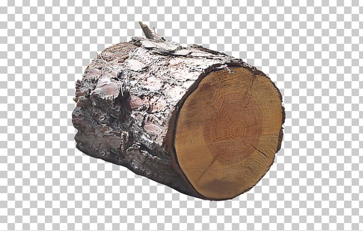 Trunk Tree Wood PNG, Clipart, Bit, Download, Editing, Firewood, M083vt Free PNG Download