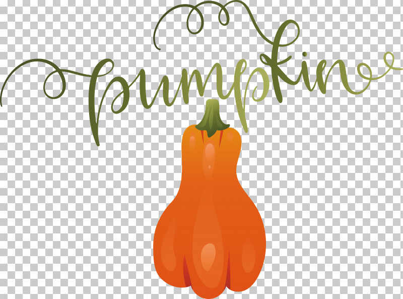 Pumpkin PNG, Clipart, Autumn, Pumpkin Free PNG Download