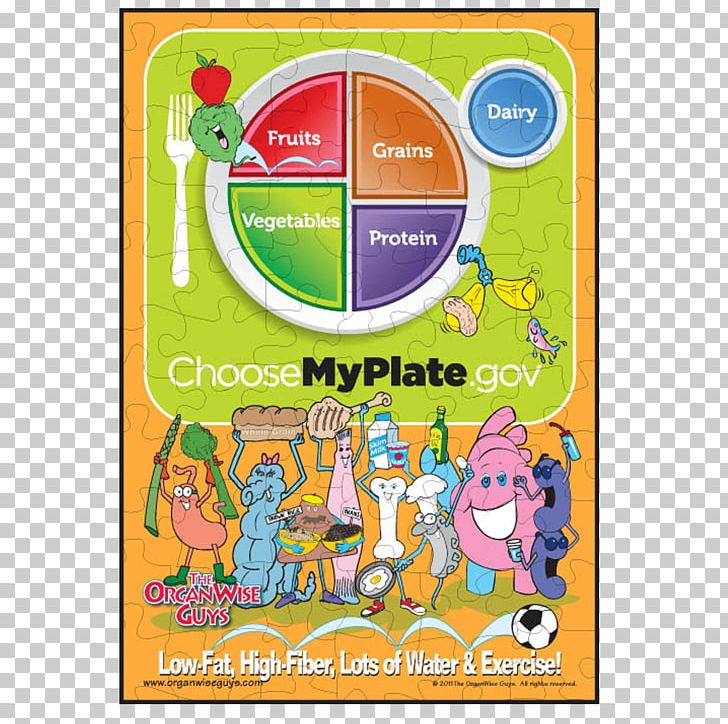 ChooseMyPlate Food Pyramid Food Group PNG, Clipart, Area, Choosemyplate, Diet, Eating, Food Free PNG Download