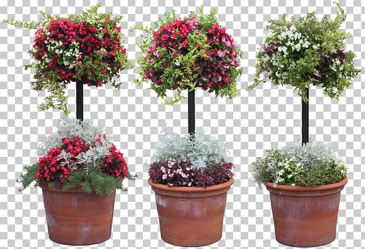 Grow Light Plant Garden Full-spectrum Light PNG, Clipart, Annual Plant, Bonsai, Cut Flowers, Evergreen, Floral Design Free PNG Download
