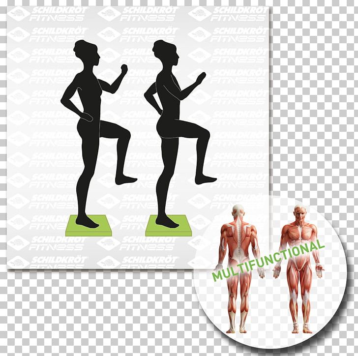 Physical Fitness Balance Board Pilates Weight Training Exercise PNG, Clipart, Abdomen, Aerobics, Balance, Balance Board, Bauchmuskulatur Free PNG Download