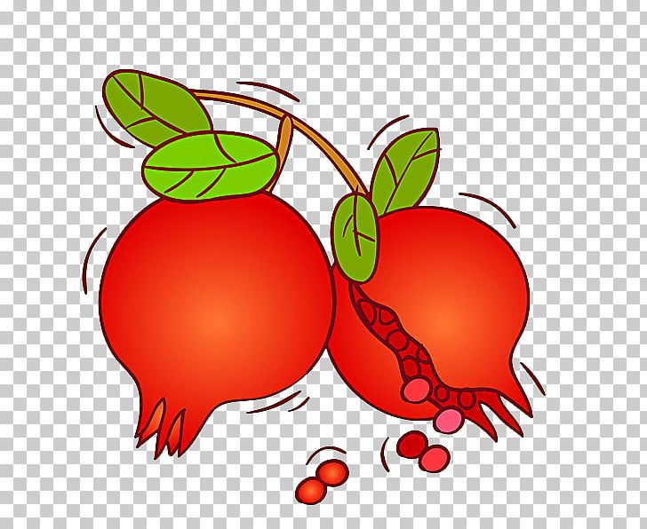 Pomegranate Fruit Auglis PNG, Clipart, Apple, Auglis, Flower, Food, Fruit Free PNG Download