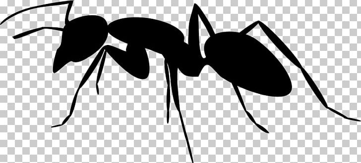 Ant Art Silhouette PNG, Clipart, Animals, Ant, Ant Clipart, Art, Arthropod Free PNG Download