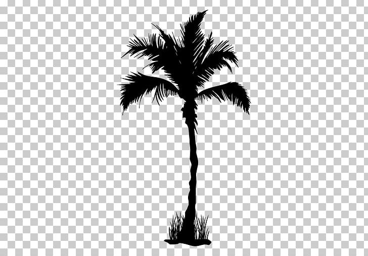 Arecaceae Tree PNG, Clipart, Arecaceae, Arecales, Black And White, Borassus Flabellifer, Branch Free PNG Download