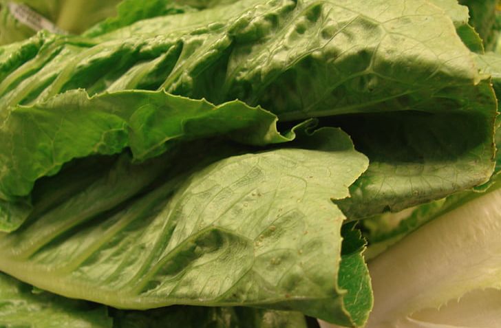Romaine Lettuce 2011 Germany E. Coli O104:H4 Outbreak Vegetarian Cuisine Leaf Vegetable PNG, Clipart, Bacteria, Collard Greens, Eating, E Coli, Food Free PNG Download