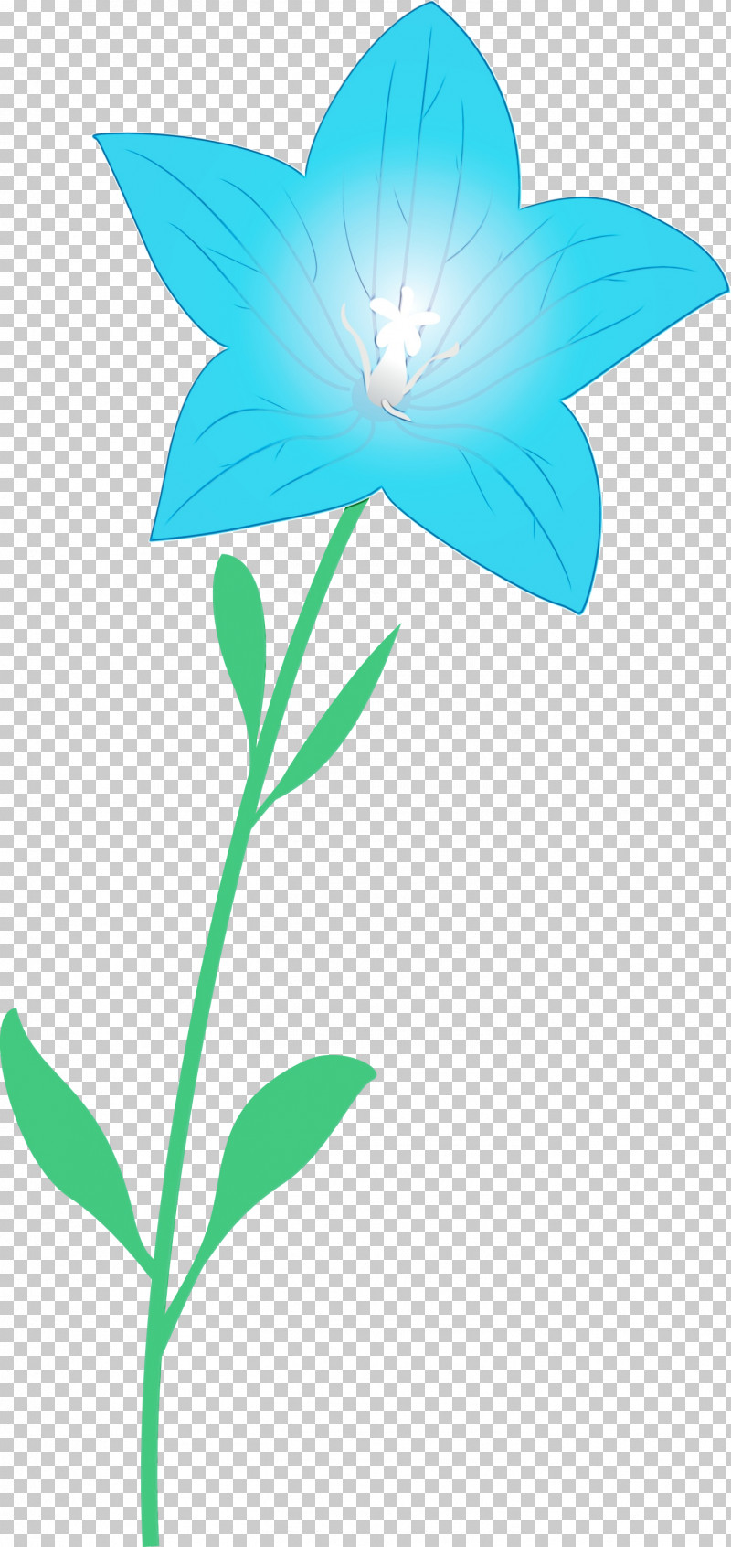 Plant Stem Flower Leaf Petal Flora PNG, Clipart, Balloon Flower, Biology, Branching, Flora, Flower Free PNG Download