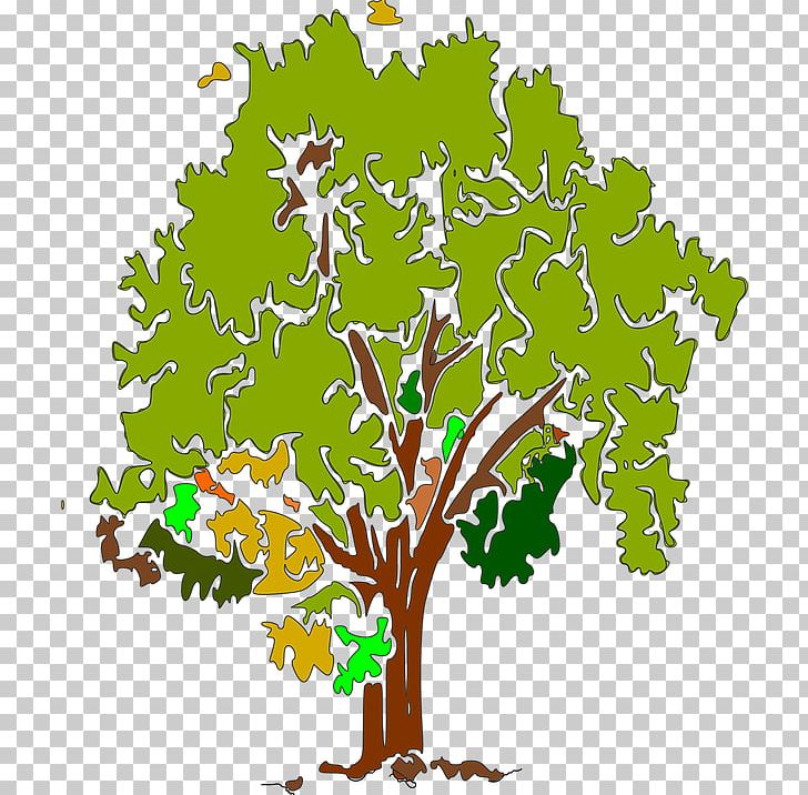 Branch Tree PNG, Clipart, Animation, Branch, Color, Drawing, Flora Free PNG Download