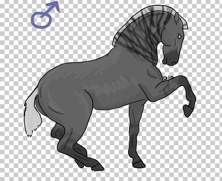Mule Mustang Stallion Pony Mane PNG, Clipart, Black And White, Carnivoran, Dog Like Mammal, English Riding, Equestrian Free PNG Download