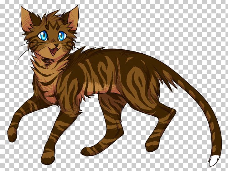 Tabby Cat Whiskers Kitten Wildcat Havana Brown PNG, Clipart, Animals, Big Cats, Carnivoran, Cat Like Mammal, Claw Free PNG Download