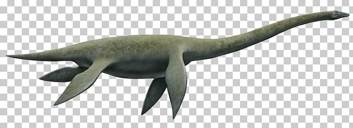 Elasmosaurus Plesiosauria Mosasaurus Cryptoclidus Reptile PNG, Clipart, Animal Figure, Beak, Camarasaurus, Cryptoclidus, Dinosaur Free PNG Download