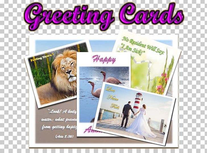 Greeting & Note Cards Paper Graphics Letter PNG, Clipart, Advertising, Anniversary, Greeting, Greeting Note Cards, Letter Free PNG Download