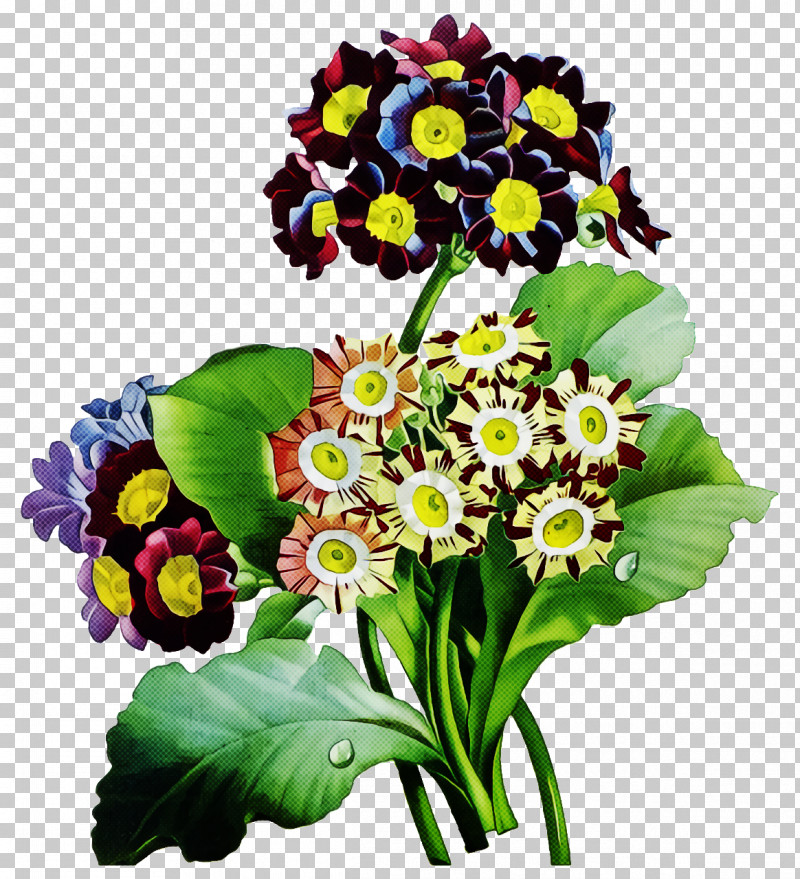 Floral Design PNG, Clipart, Annual Plant, Anthesis, Artificial Flower, Blossom, Cut Flowers Free PNG Download