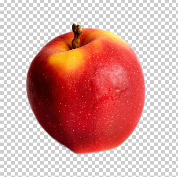 Big Apple Auglis PNG, Clipart, Adobe Illustrator, Apple Fruit, Apple Logo, Apple Tree, Auglis Free PNG Download