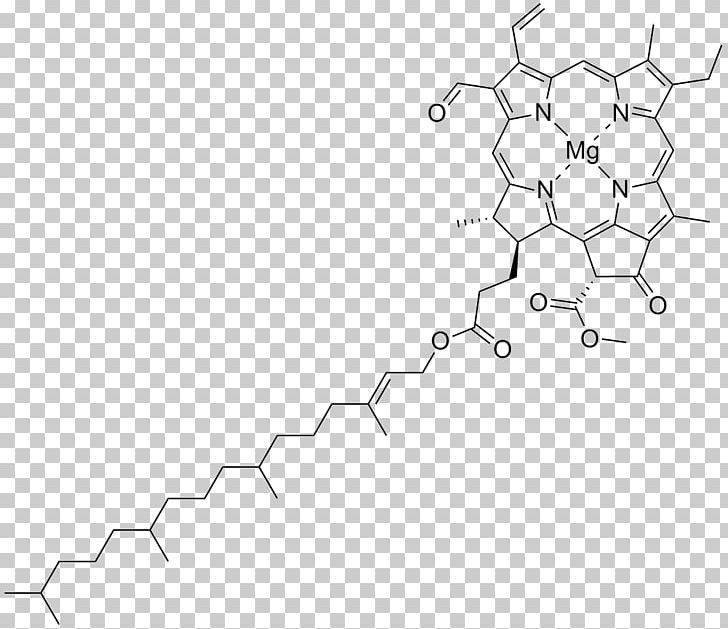 Chlorophyll A Chlorophyll B Photosynthetic Pigment Photosynthesis PNG, Clipart, Angle, Area, Biological Pigment, Black And White, Chlorophyll Free PNG Download