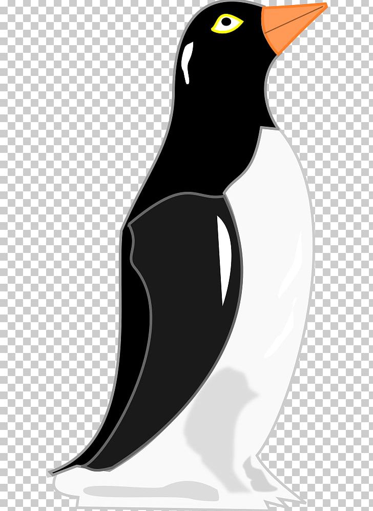 Penguin Drawing PNG, Clipart, Animals, Beak, Bird, Black And White, Computer Free PNG Download