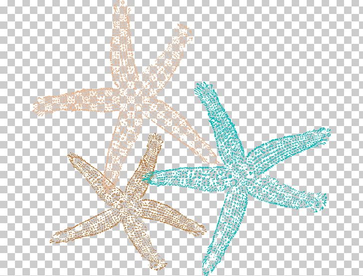 Sand Dollar Starfish Computer Icons PNG, Clipart, Animals, Body Jewelry, Clip Art, Computer Icons, Desktop Wallpaper Free PNG Download