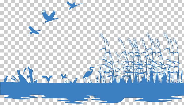 Wetland Silhouette Illustration PNG, Clipart, Aquatic Plant, Blue, Brand, Computer Wallpaper, Grass Free PNG Download