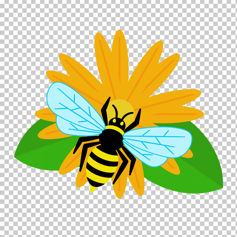 Honey Bee Bees Yellow Honey PNG, Clipart, Bees, Honey, Honey Bee, Yellow Free PNG Download