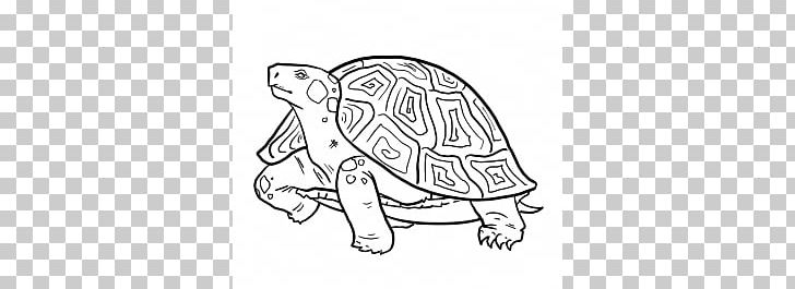 Alligator Snapping Turtle Drawing Reptile Pencil PNG, Clipart, Area, Art, Black And White, Carnivoran, Cartoon Free PNG Download