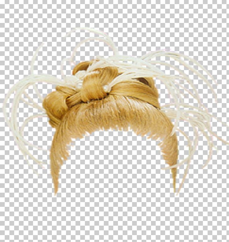 Computer Software Hairstyle PNG, Clipart, Adobe Systems, Blog, Computer Software, Feather, Hair Free PNG Download